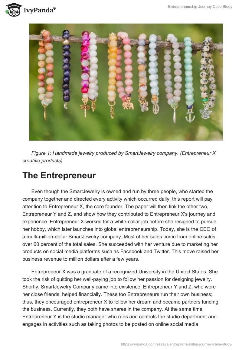 Entrepreneurship Journey Case Study. Page 3