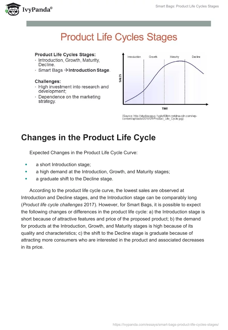 Smart Bags: Product Life Cycles Stages. Page 2