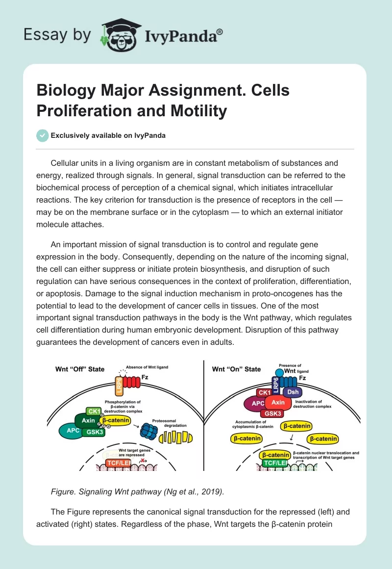 Biology Major Assignment. Cells Proliferation and Motility. Page 1
