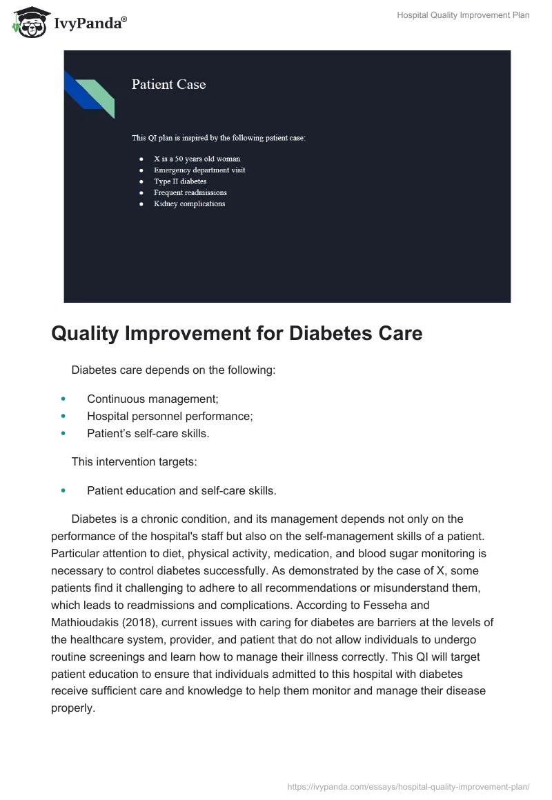 Hospital Quality Improvement Plan. Page 3