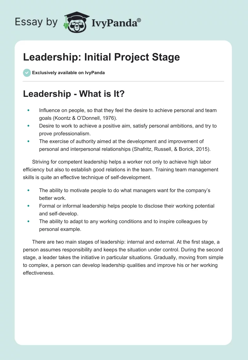 Leadership: Initial Project Stage. Page 1
