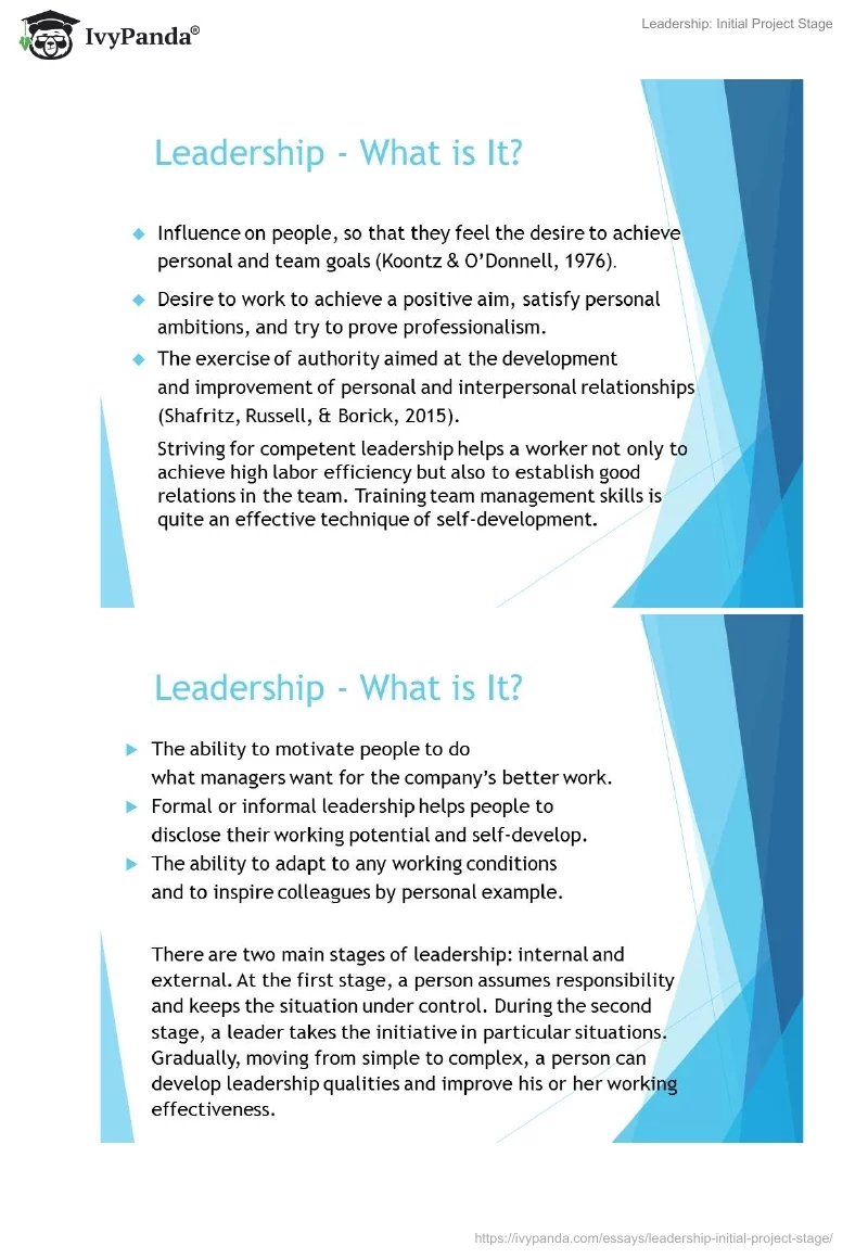 Leadership: Initial Project Stage. Page 2