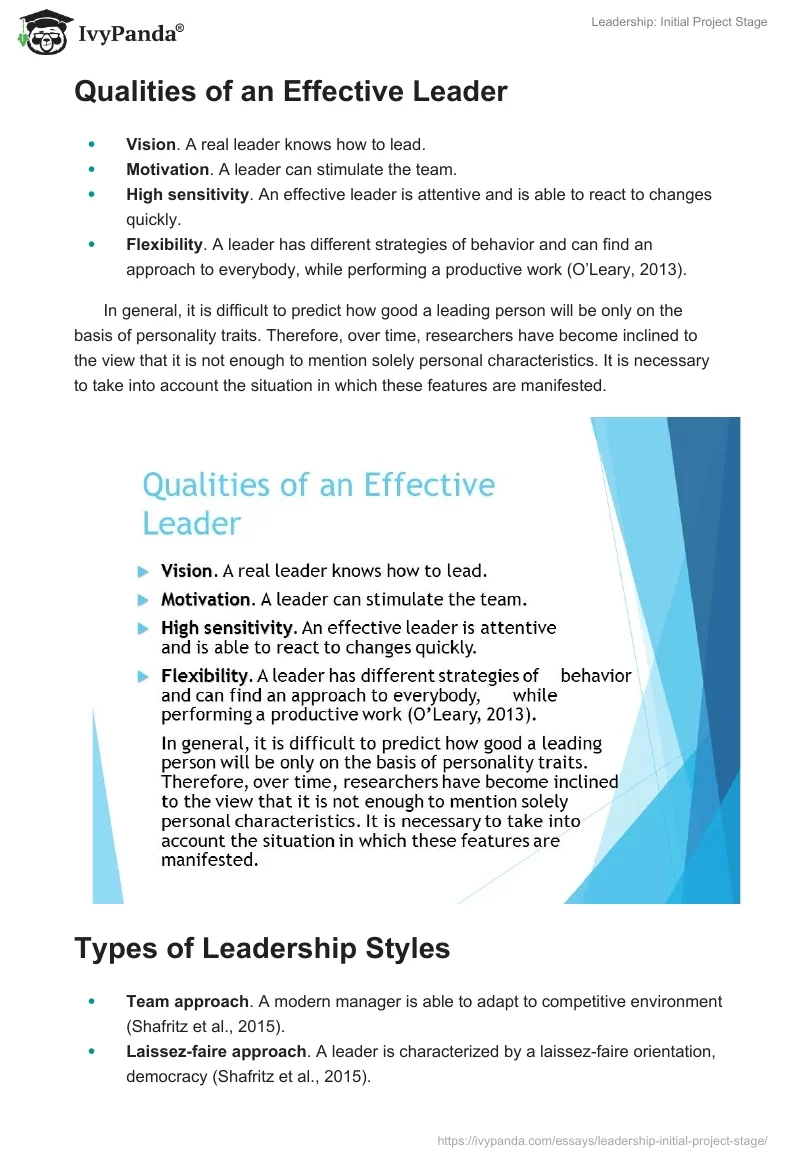 Leadership: Initial Project Stage. Page 3