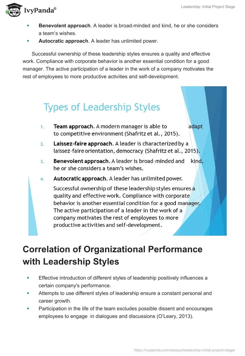 Leadership: Initial Project Stage. Page 4