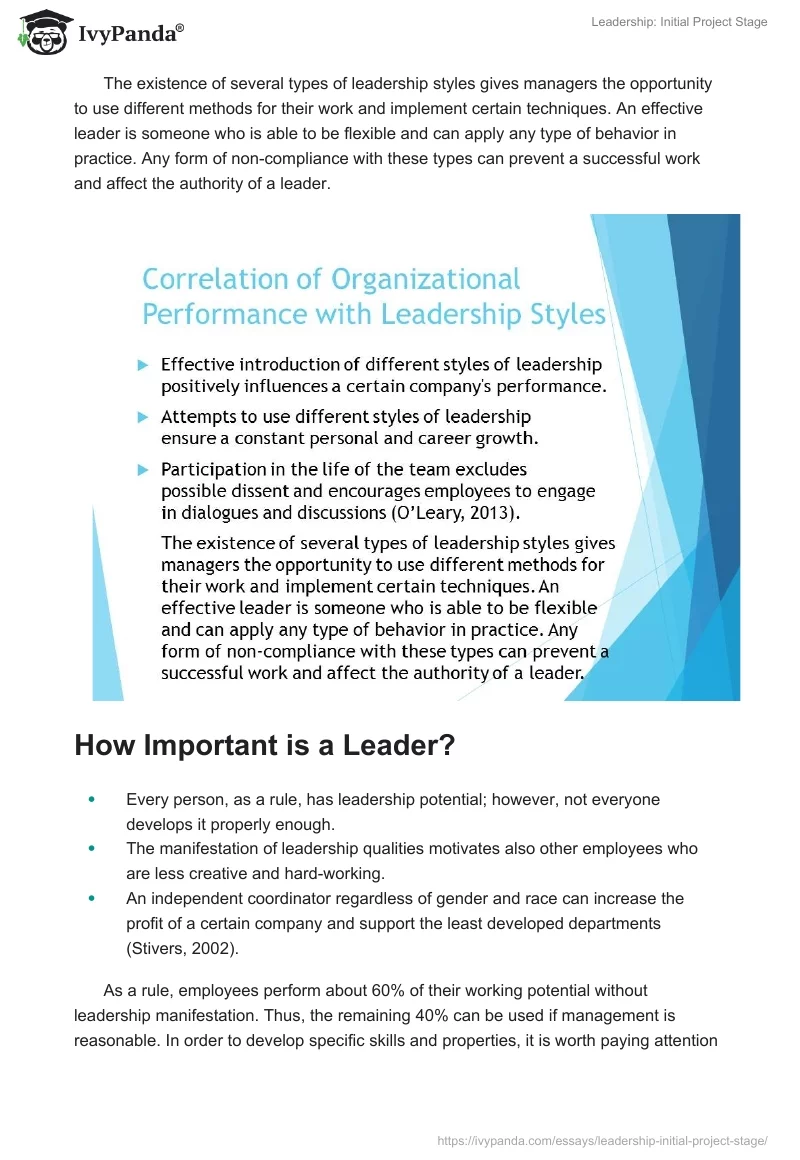 Leadership: Initial Project Stage. Page 5
