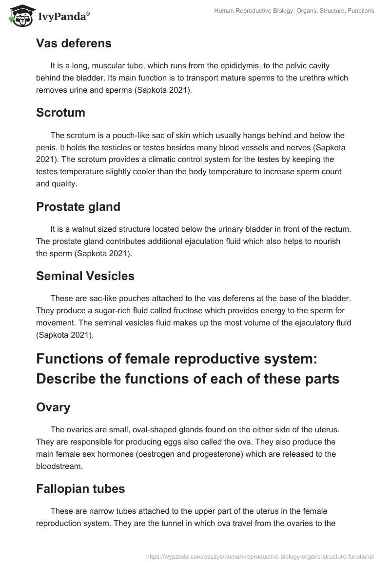 Human Reproductive Biology: Organs, Structure, Functions. Page 2