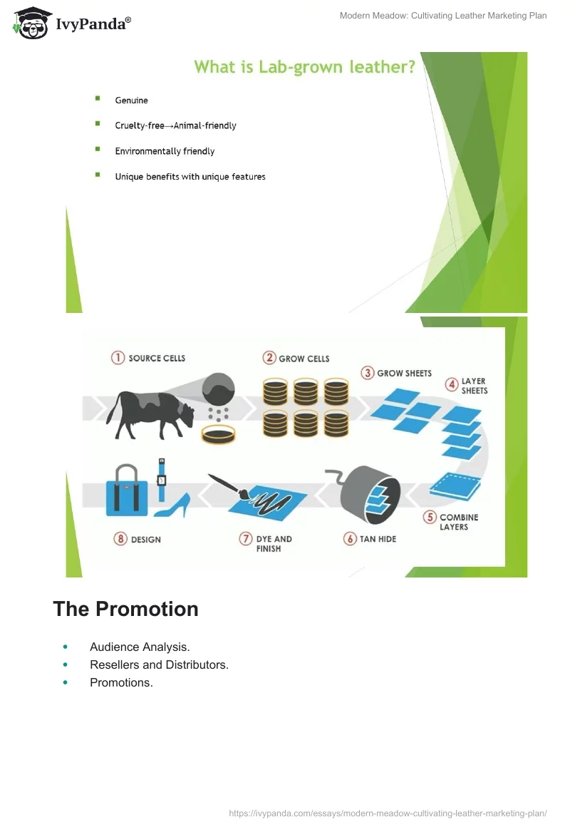 Modern Meadow: Cultivating Leather Marketing Plan. Page 2