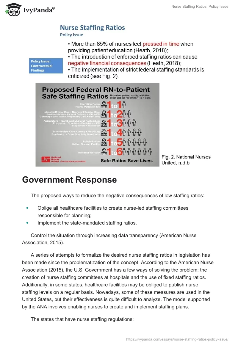 Nurse Staffing Ratios: Policy Issue. Page 3