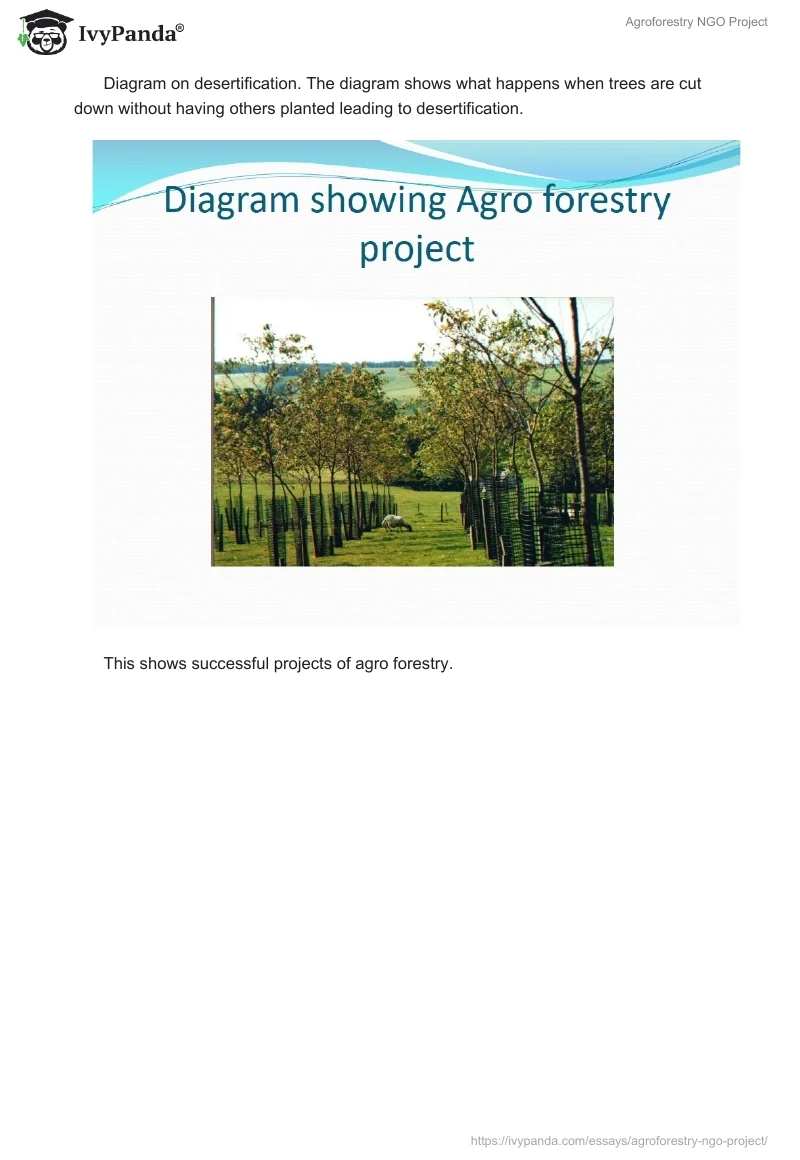 Agroforestry NGO Project. Page 4