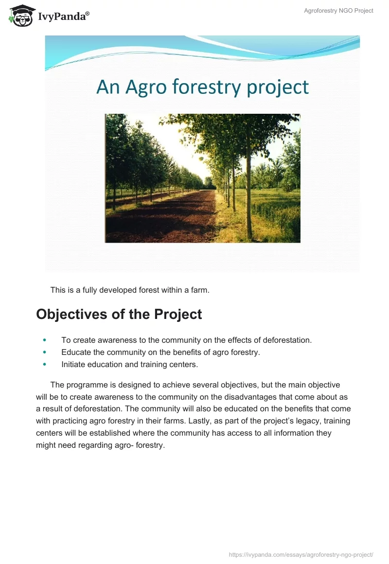 Agroforestry NGO Project. Page 5