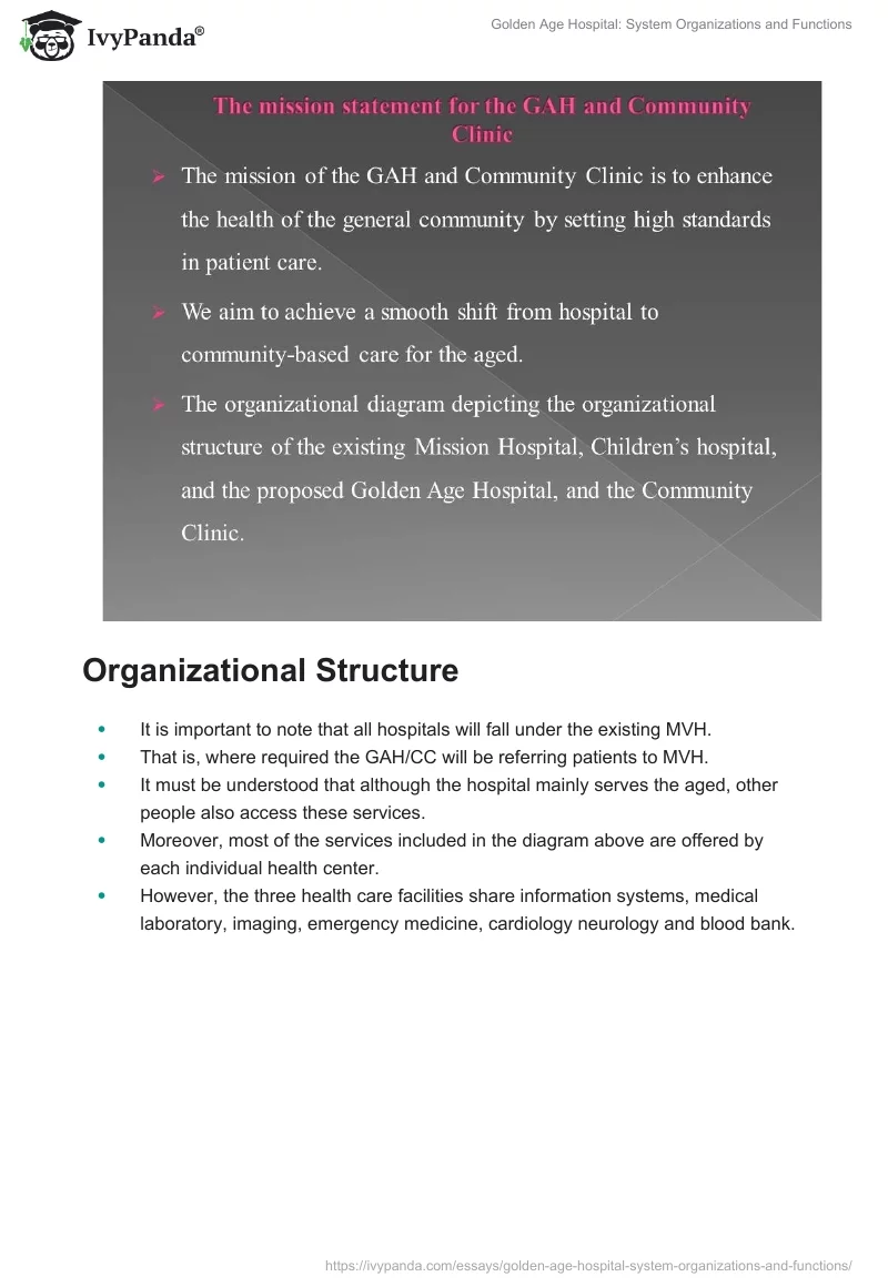 Golden Age Hospital: System Organizations and Functions. Page 2