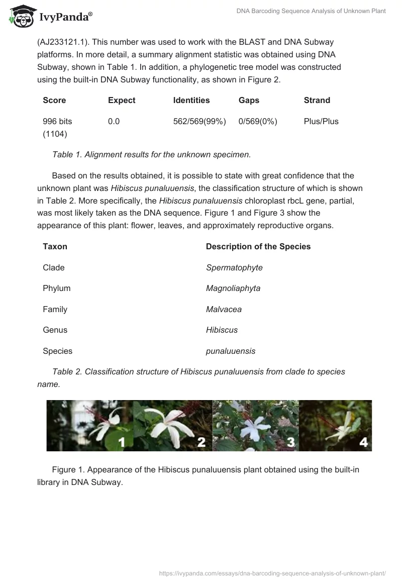 DNA Barcoding Sequence Analysis of Unknown Plant. Page 3