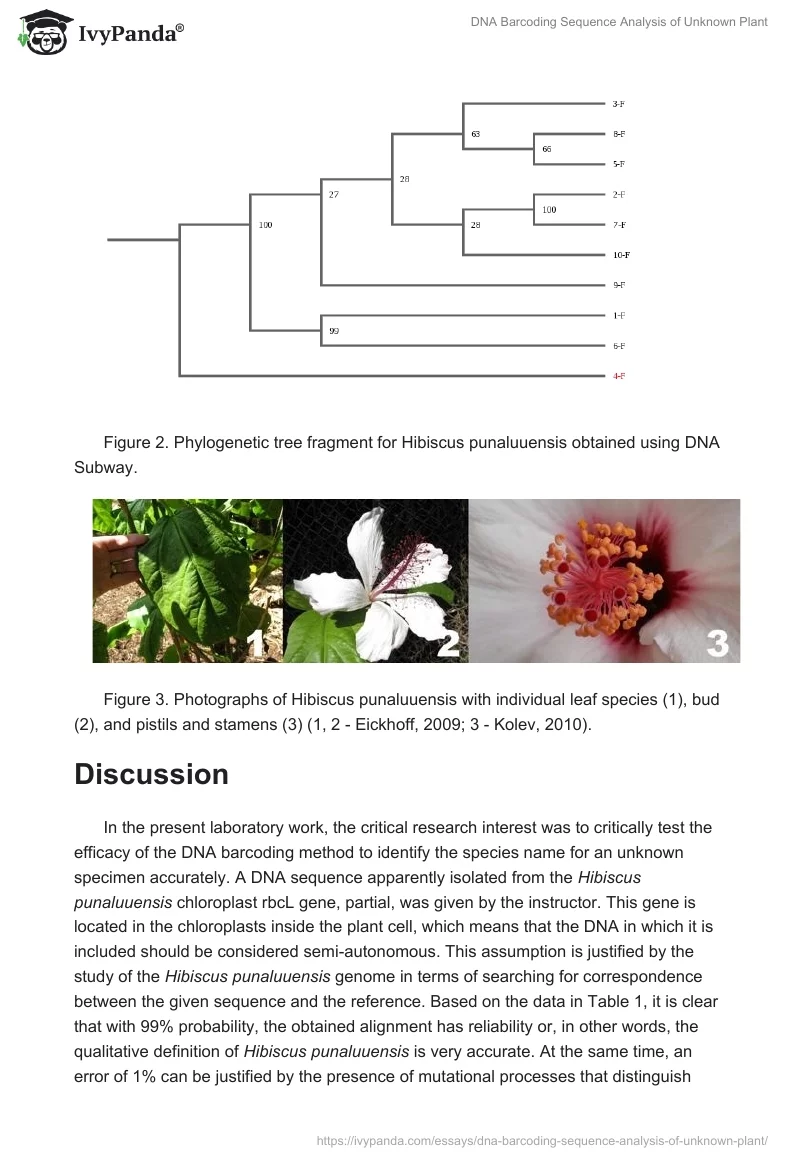 DNA Barcoding Sequence Analysis of Unknown Plant. Page 4