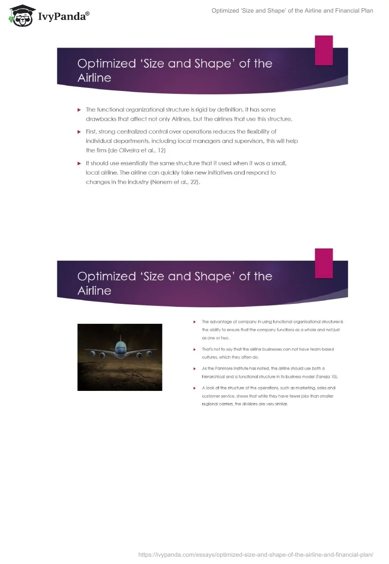 Optimized ‘Size and Shape’ of the Airline and Financial Plan. Page 3