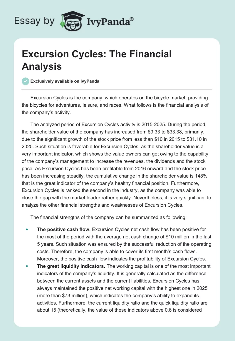 Excursion Cycles: The Financial Analysis. Page 1