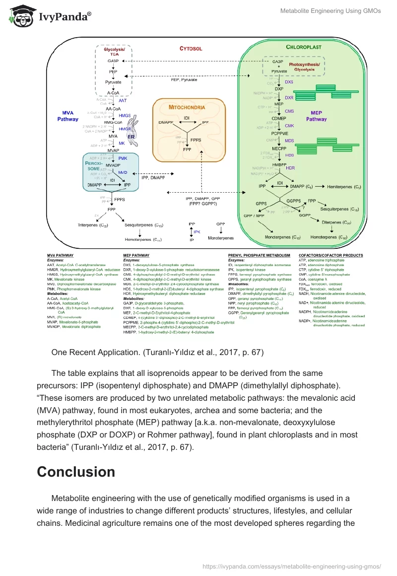 Metabolite Engineering Using GMOs. Page 3