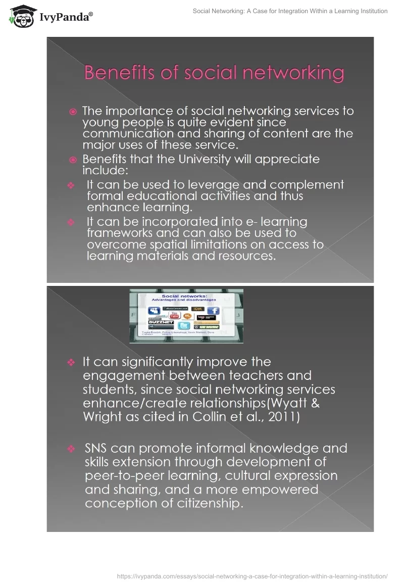 Social Networking: A Case for Integration Within a Learning Institution. Page 3