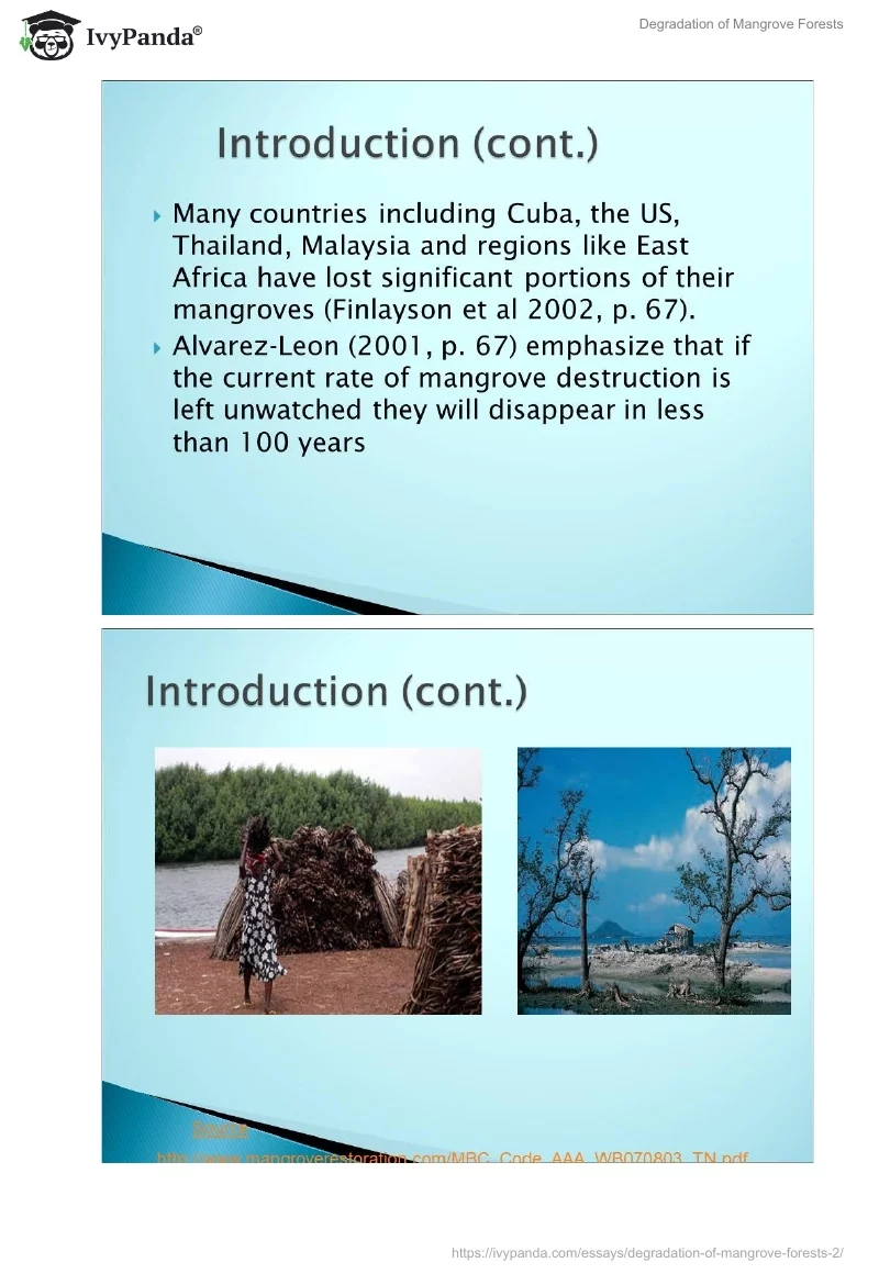Degradation of Mangrove Forests. Page 3