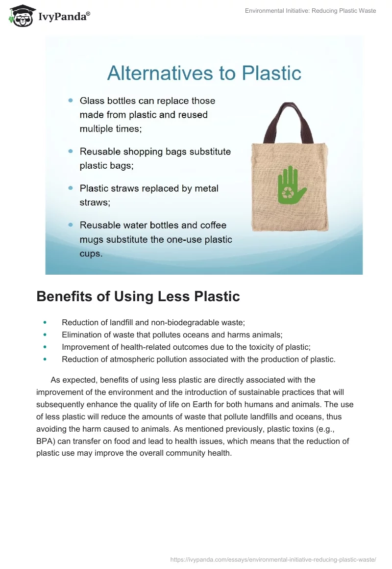 Environmental Initiative: Reducing Plastic Waste. Page 4