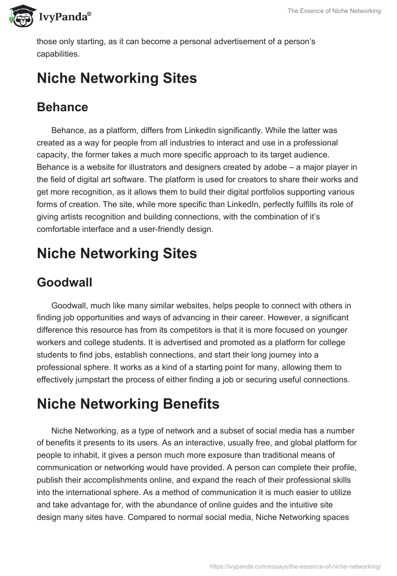 The Essence of Niche Networking. Page 3