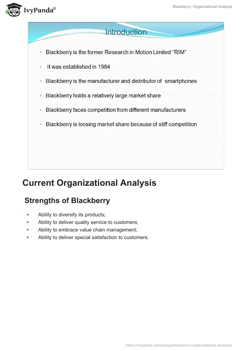 Blackberry: Organizational Analysis. Page 2
