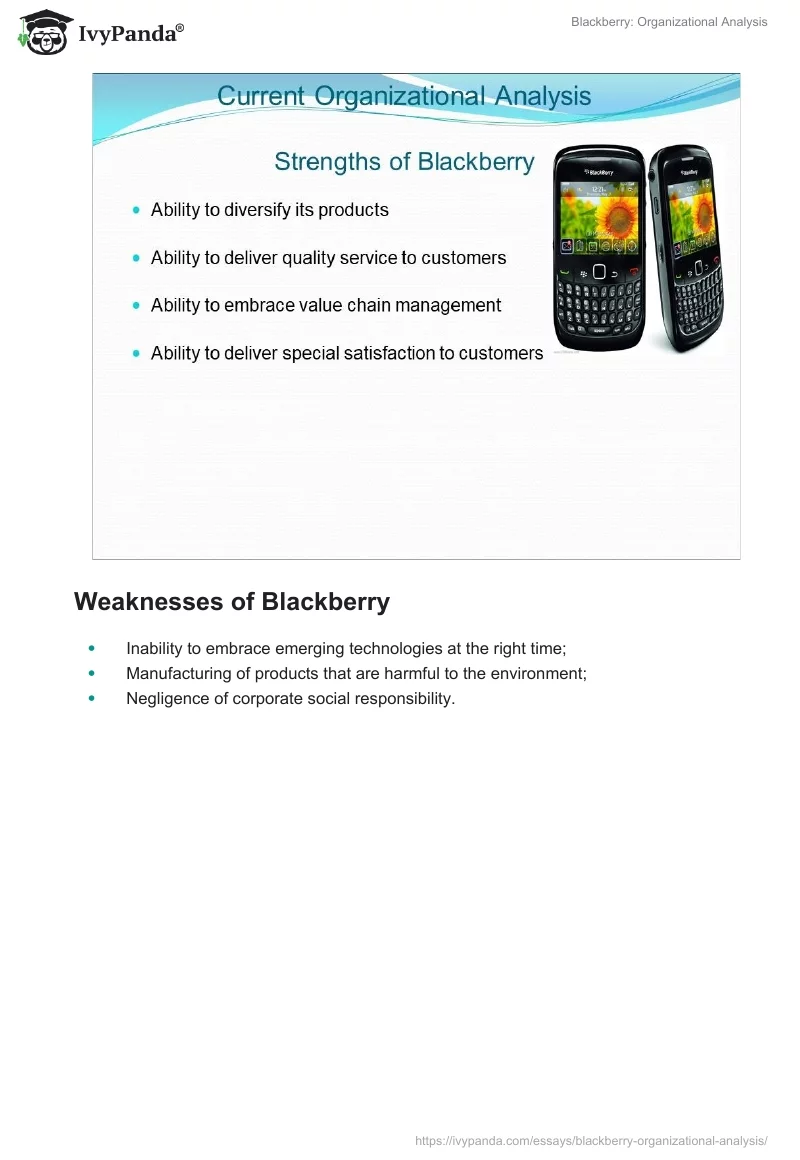 Blackberry: Organizational Analysis. Page 3