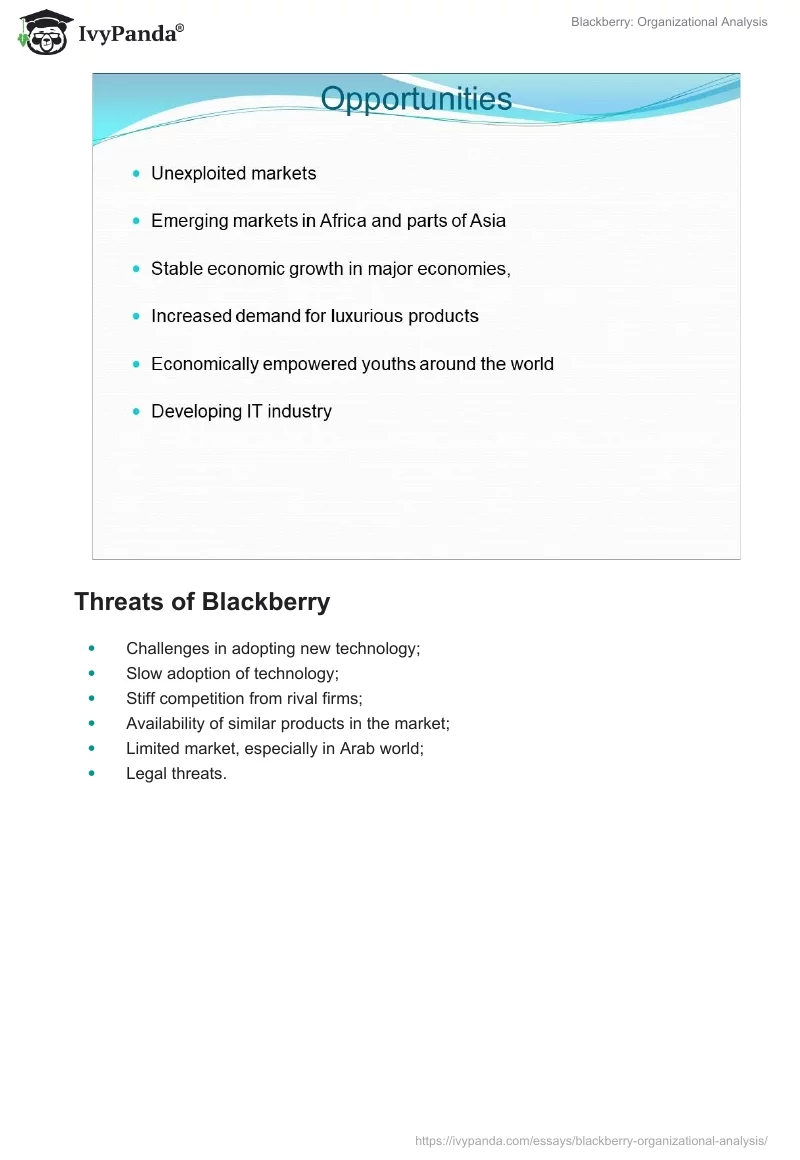 Blackberry: Organizational Analysis. Page 5