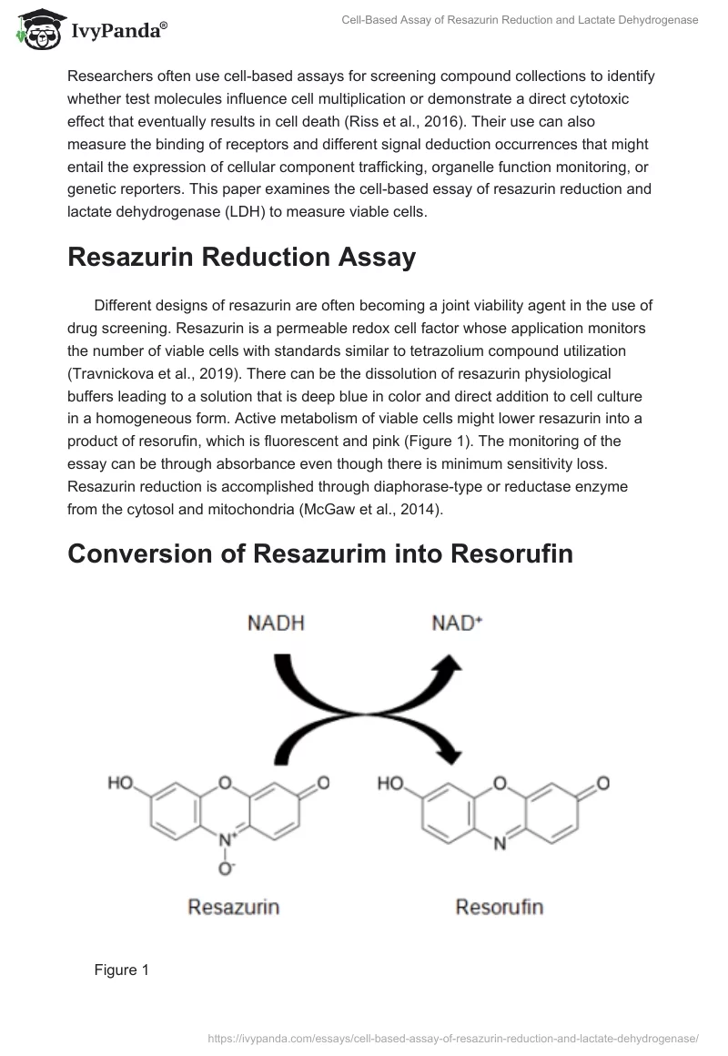 Cell-Based Assay of Resazurin Reduction and Lactate Dehydrogenase. Page 2