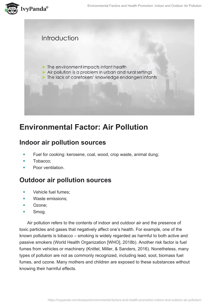Environmental Factors and Health Promotion: Indoor and Outdoor Air Pollution. Page 2