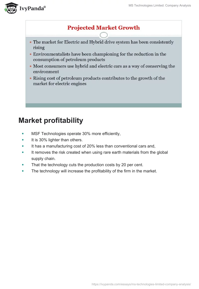 MS Technologies Limited: Company Analysis. Page 3