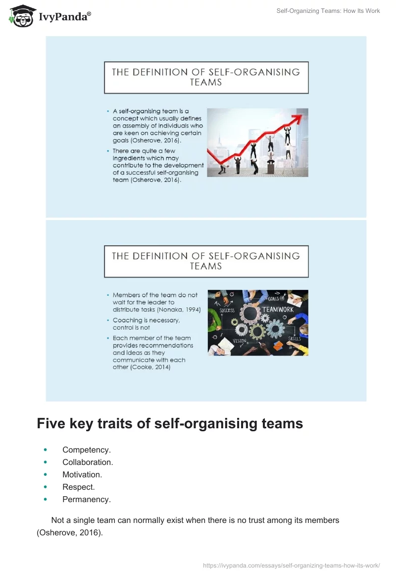 Self-Organizing Teams: How Its Work. Page 2