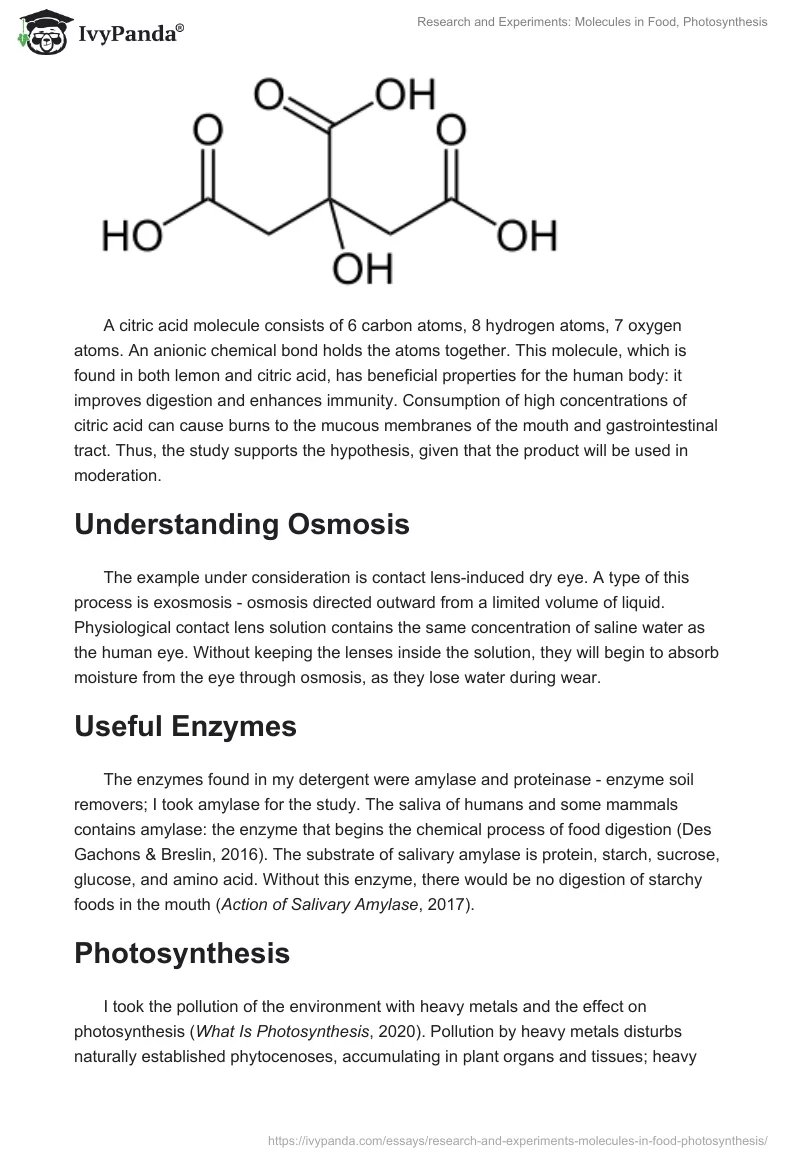 Research and Experiments: Molecules in Food, Photosynthesis. Page 2