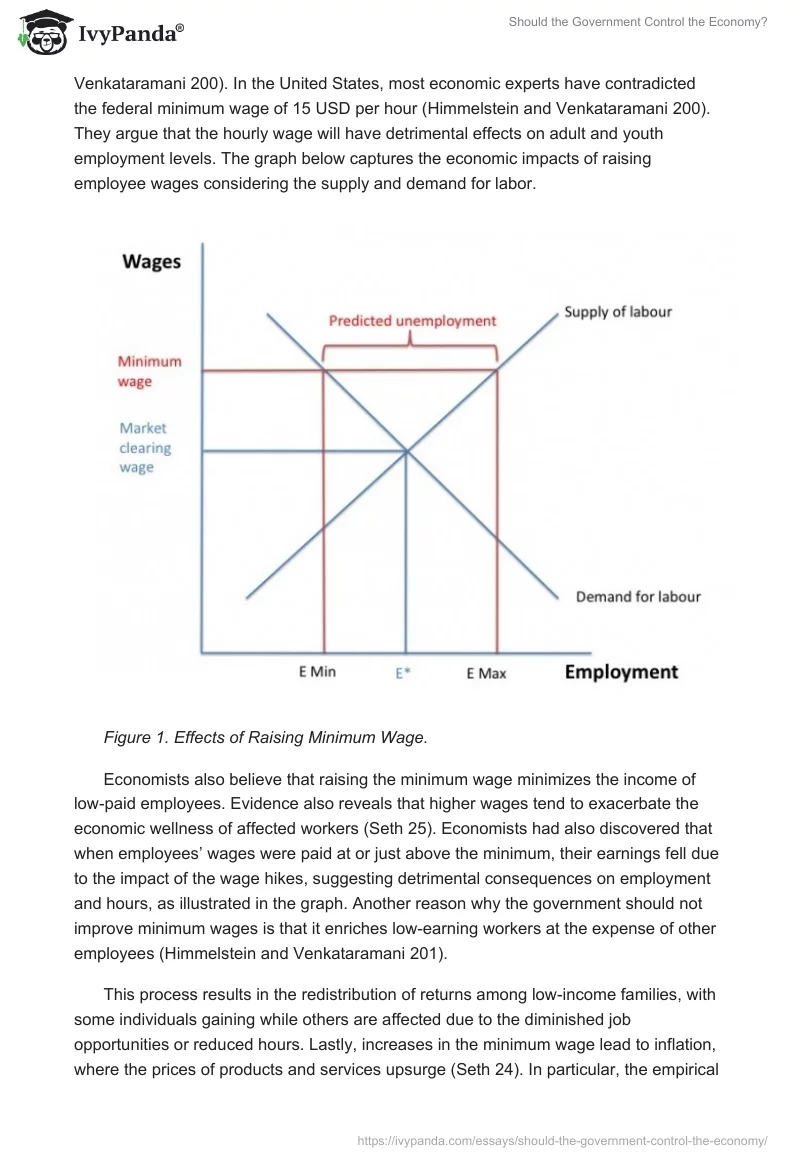 Should the Government Control the Economy?. Page 2