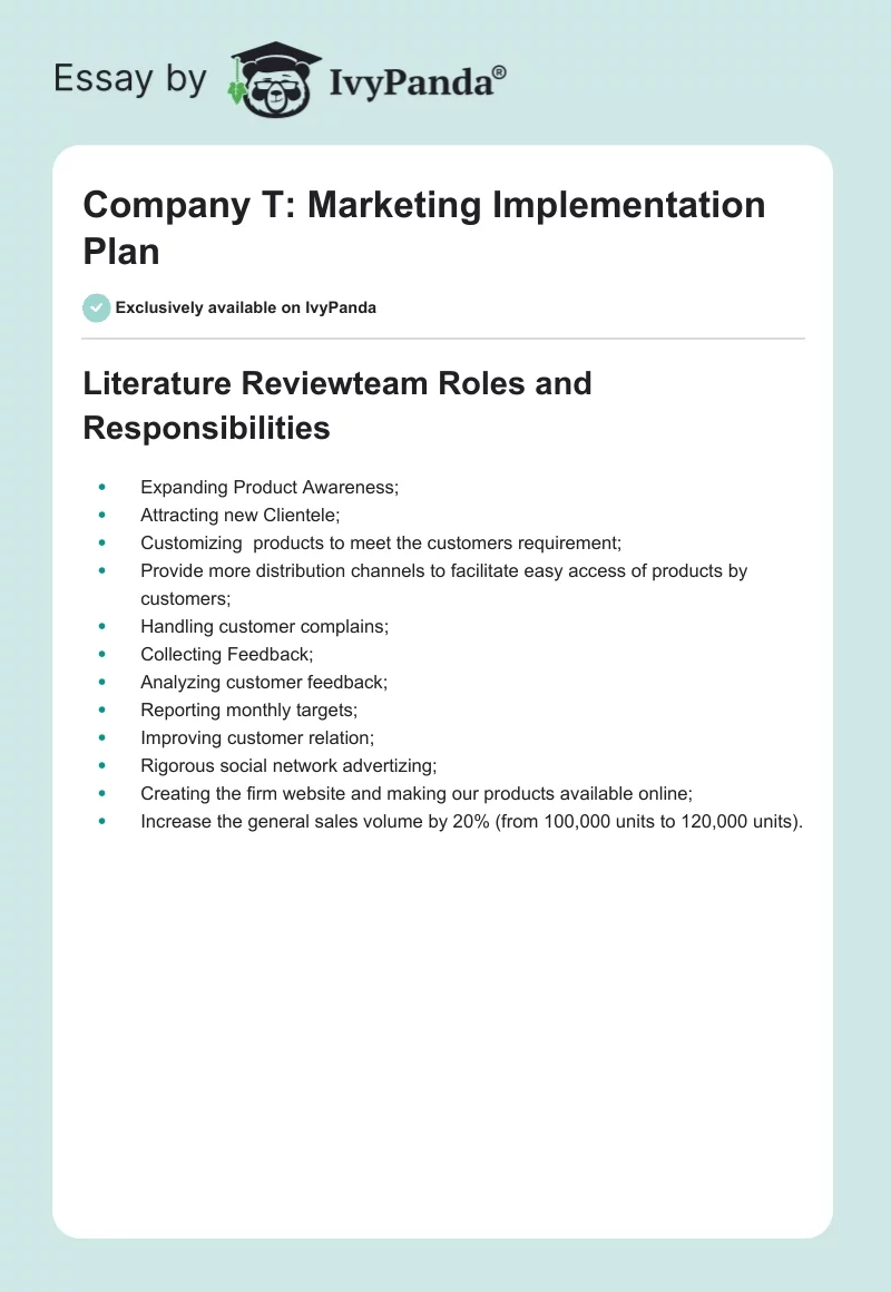Company T: Marketing Implementation Plan. Page 1