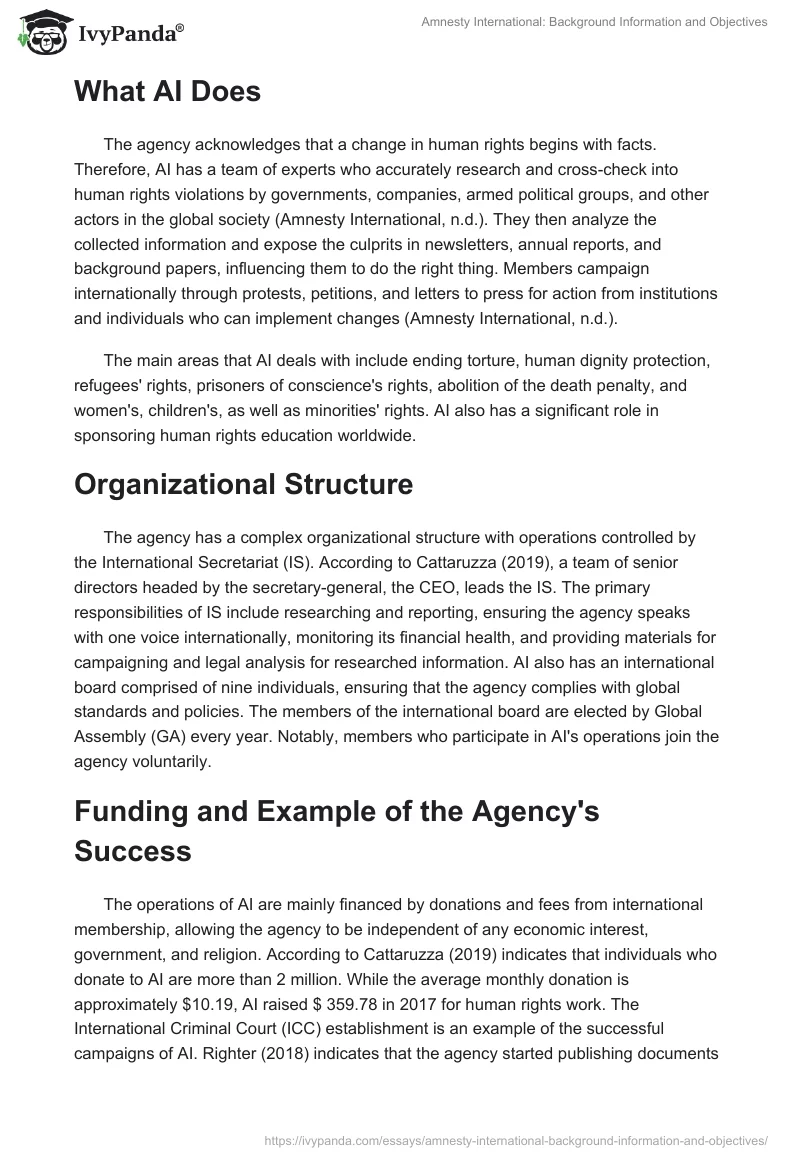 Amnesty International: Background Information and Objectives. Page 2