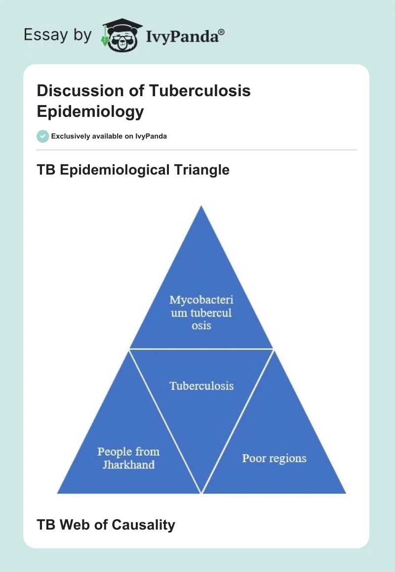 Discussion of Tuberculosis Epidemiology. Page 1