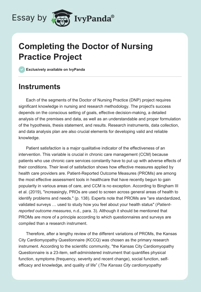 Completing the Doctor of Nursing Practice Project. Page 1