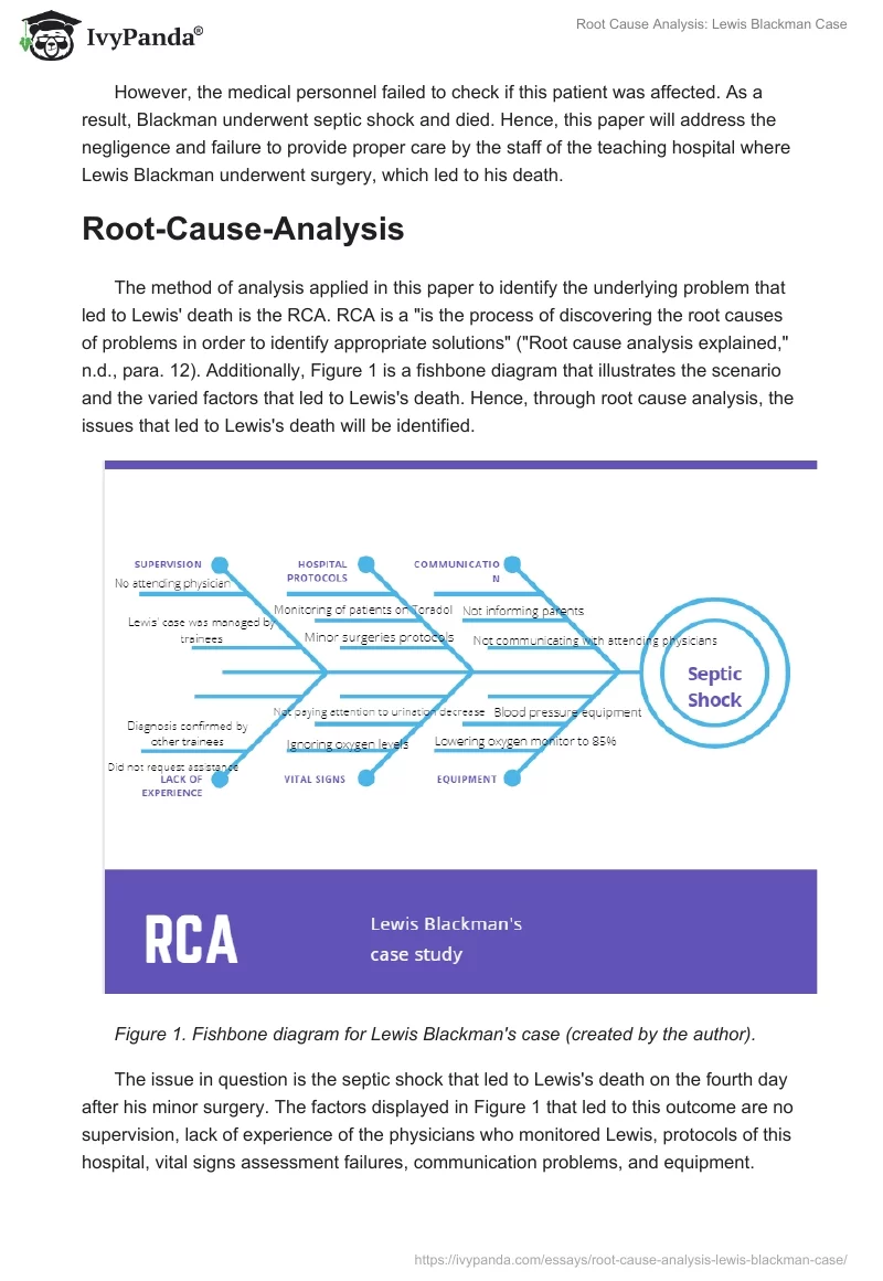 Root Cause Analysis: Lewis Blackman Case. Page 2