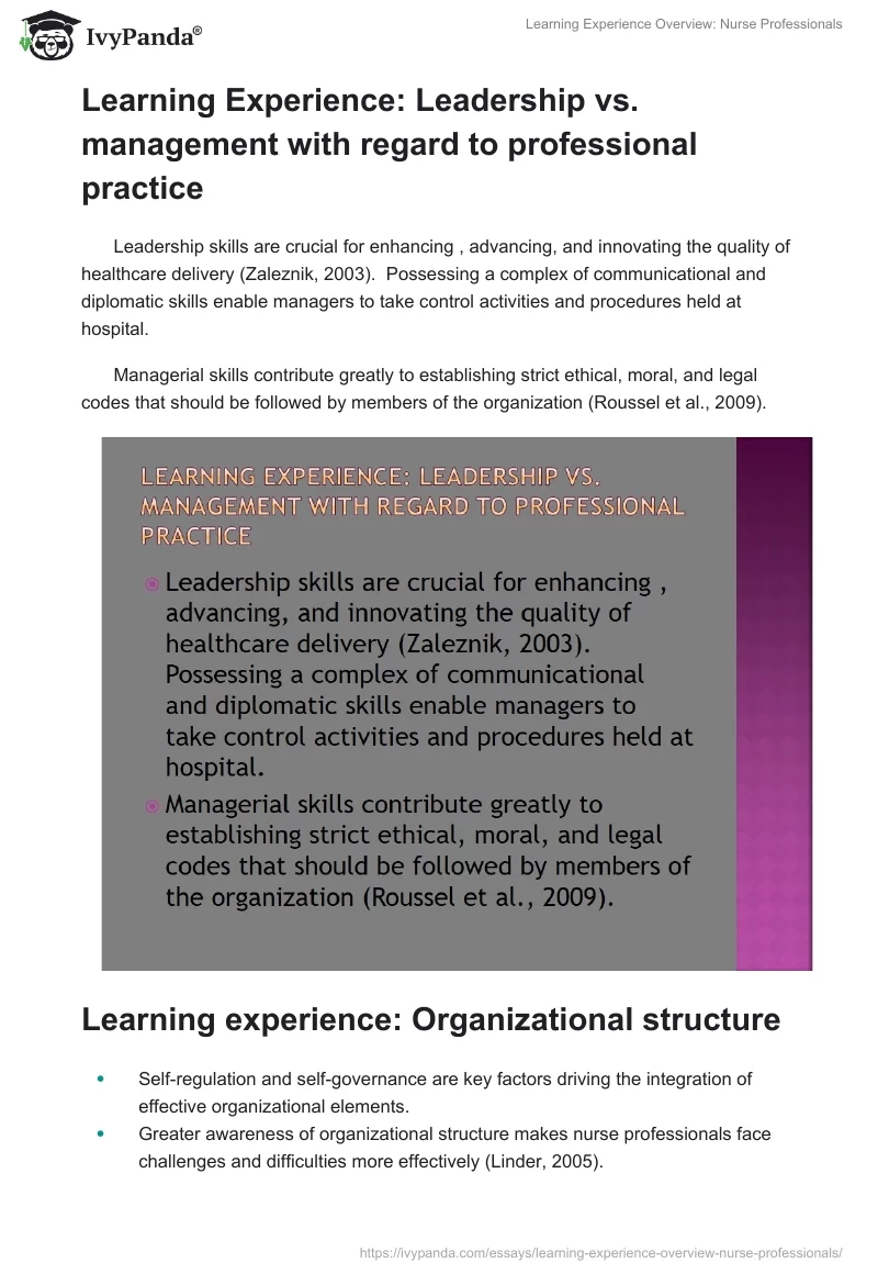 Learning Experience Overview: Nurse Professionals. Page 5