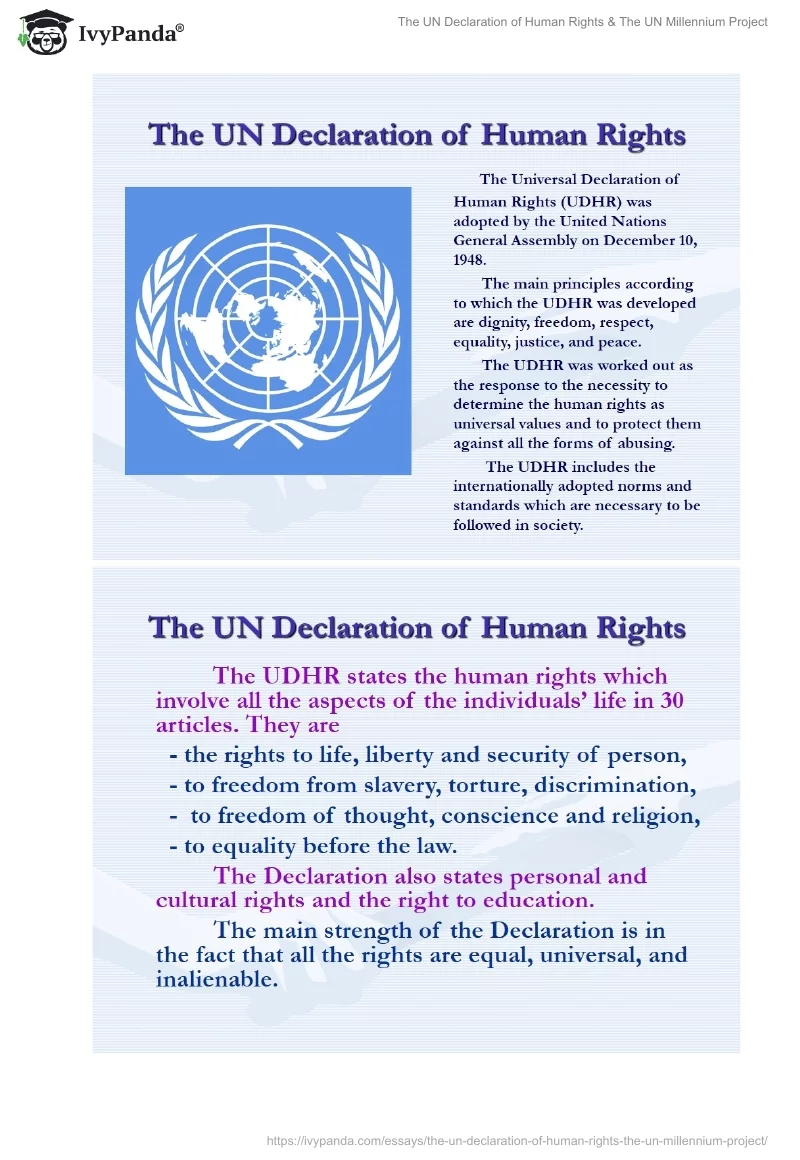 The UN Declaration of Human Rights & The UN Millennium Project. Page 4