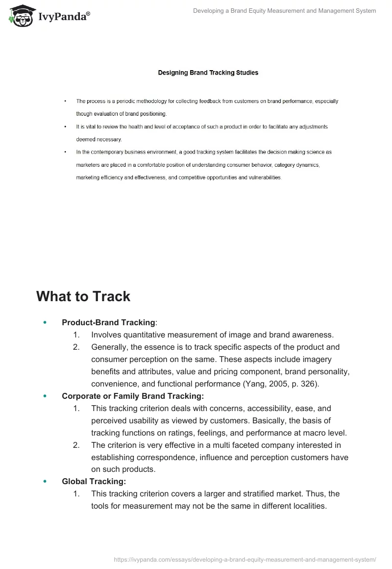 Developing a Brand Equity Measurement and Management System. Page 2