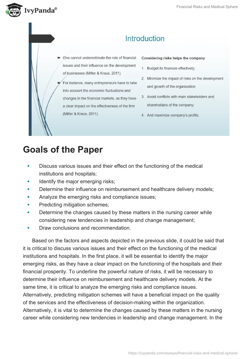 Financial Risks and Medical Sphere. Page 2