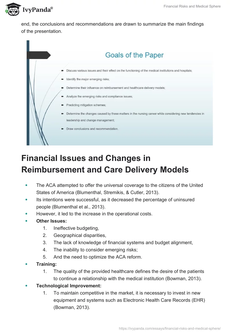 Financial Risks and Medical Sphere. Page 3