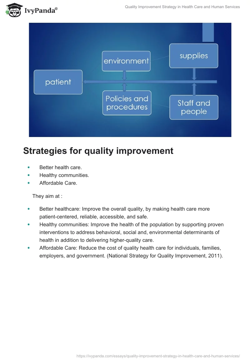 Quality Improvement Strategy in Health Care and Human Services. Page 5