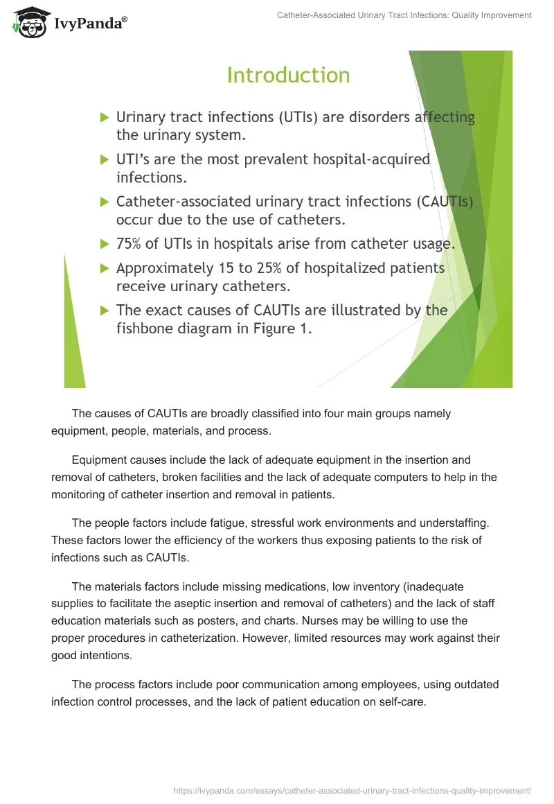 Catheter-Associated Urinary Tract Infections: Quality Improvement. Page 2