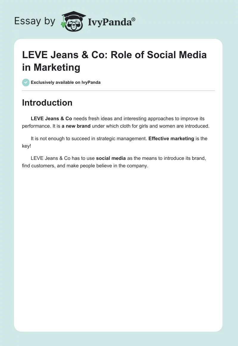 LEVE Jeans & Co: Role of Social Media in Marketing. Page 1