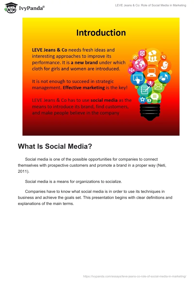 LEVE Jeans & Co: Role of Social Media in Marketing. Page 2