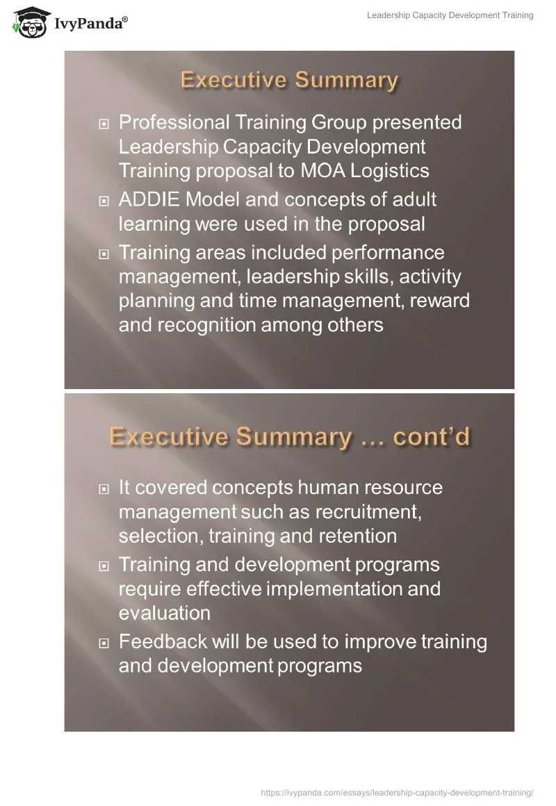 Leadership Capacity Development Training. Page 2