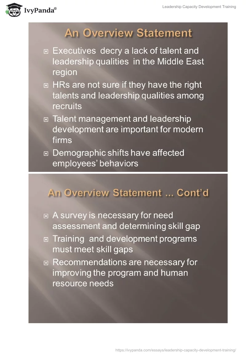 Leadership Capacity Development Training. Page 4