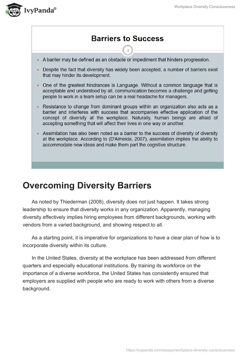 Workplace Diversity Consciousness. Page 3